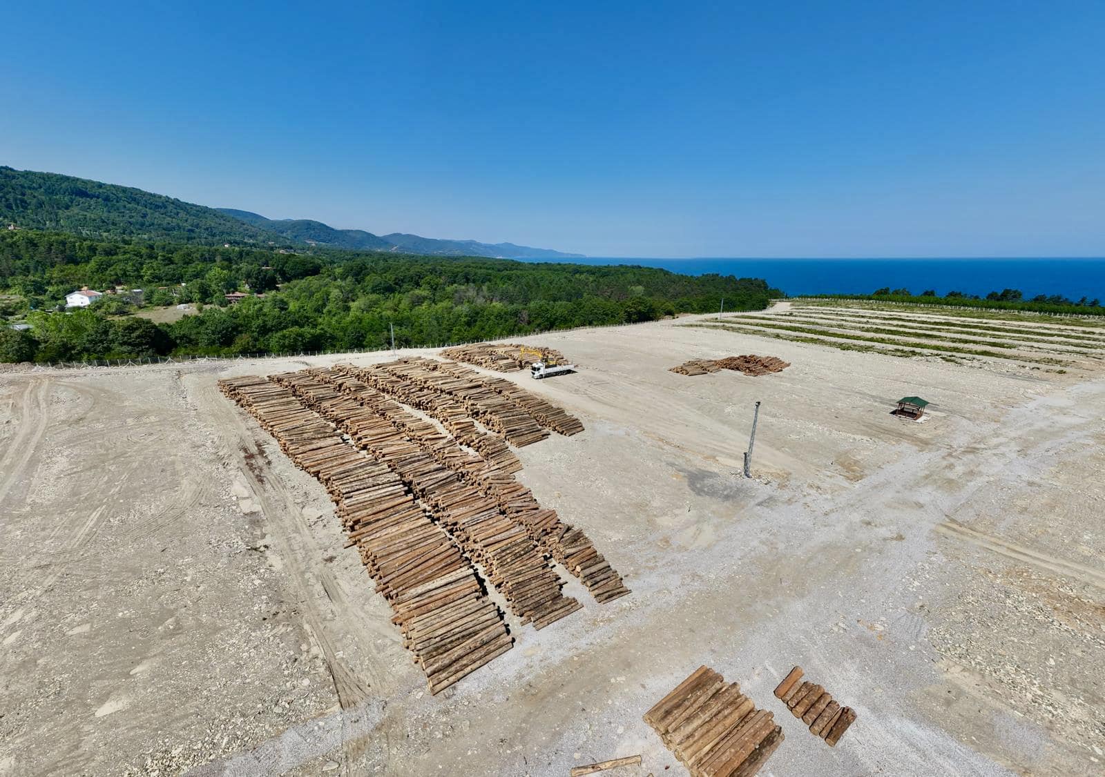 Karadeniz'in En Büyük Orman Deposu Ayancık'ta