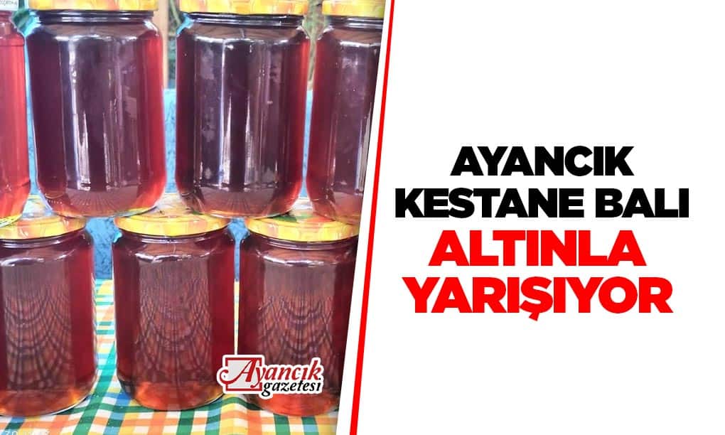 Kestane Balı altınla yarışıyor