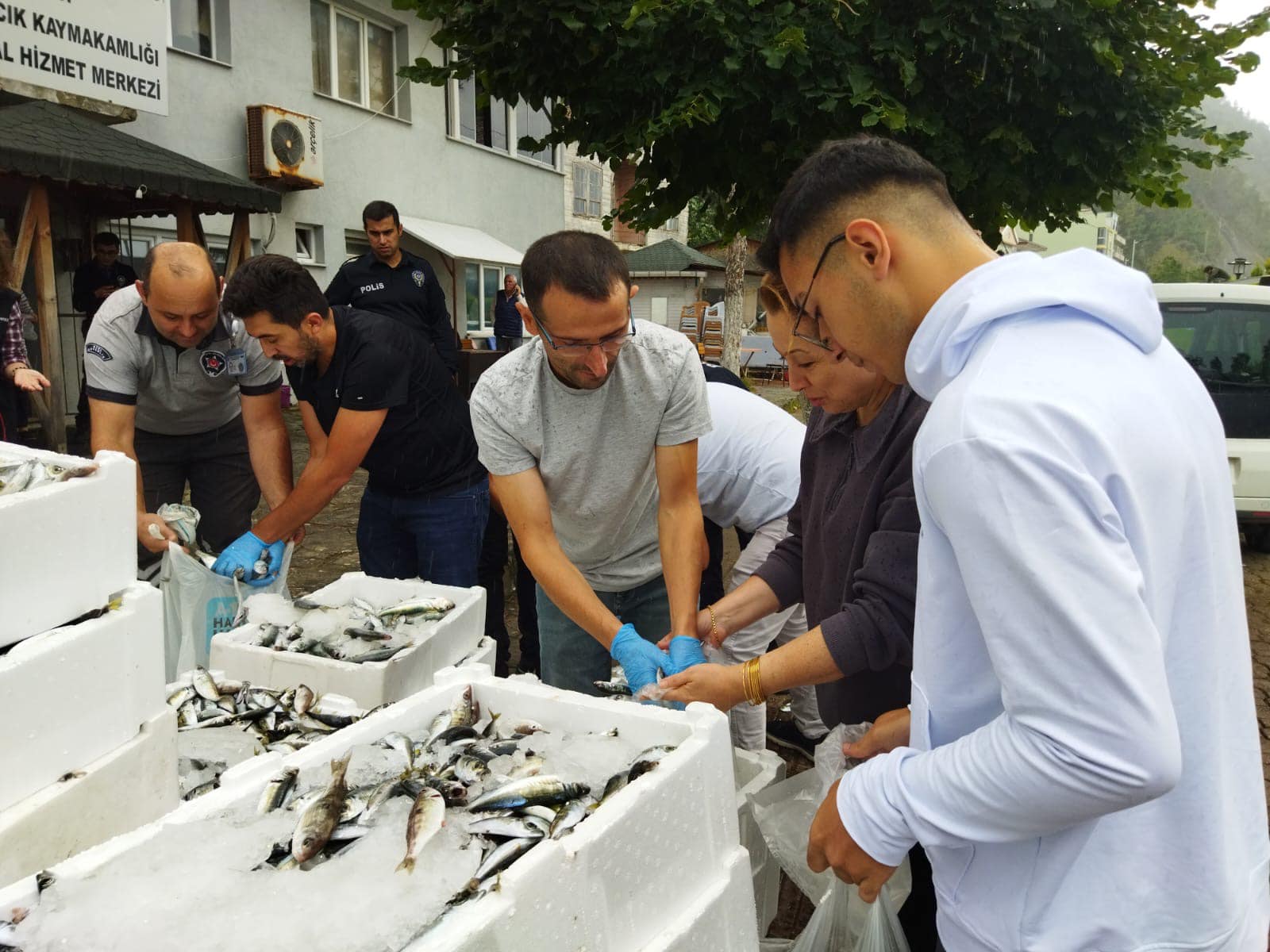 Ayancık’ta Kaçak Avcılıktan Ele Geçirilen 900 Kg Balık Vatandaşa Dağıtıldı