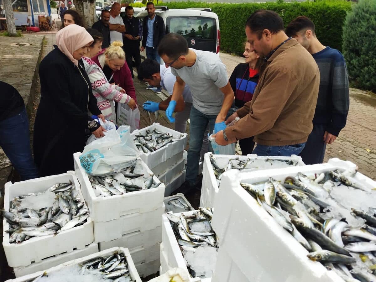 Ayancık’ta Kaçak Avcılıktan Ele Geçirilen 900 Kg Balık Vatandaşa Dağıtıldı