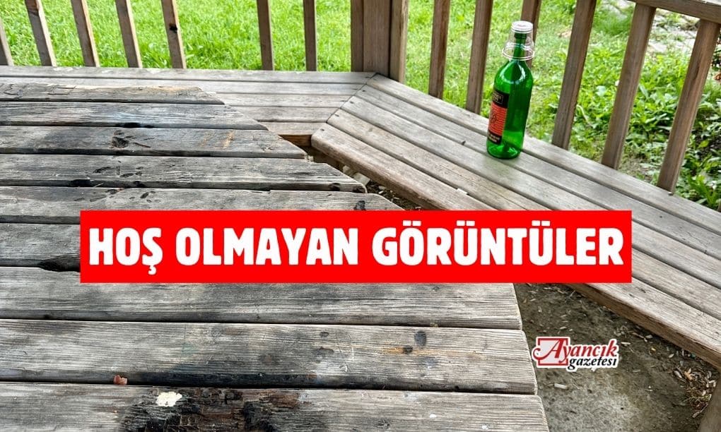 Hoş Olmayan Görüntüler