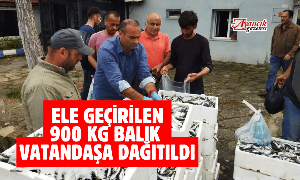 Ayancık’ta Kaçak Avcılıktan Ele Geçirilen 900 Kg Balık Vatandaşa Dağıtıldı