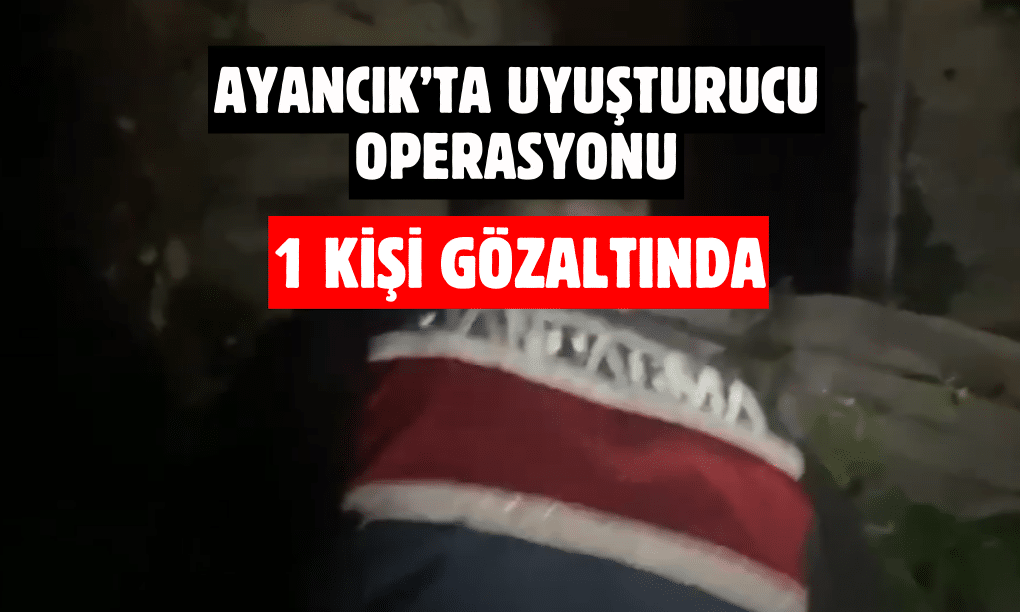 Ayancık’ta Uyuşturucu Operasyonu