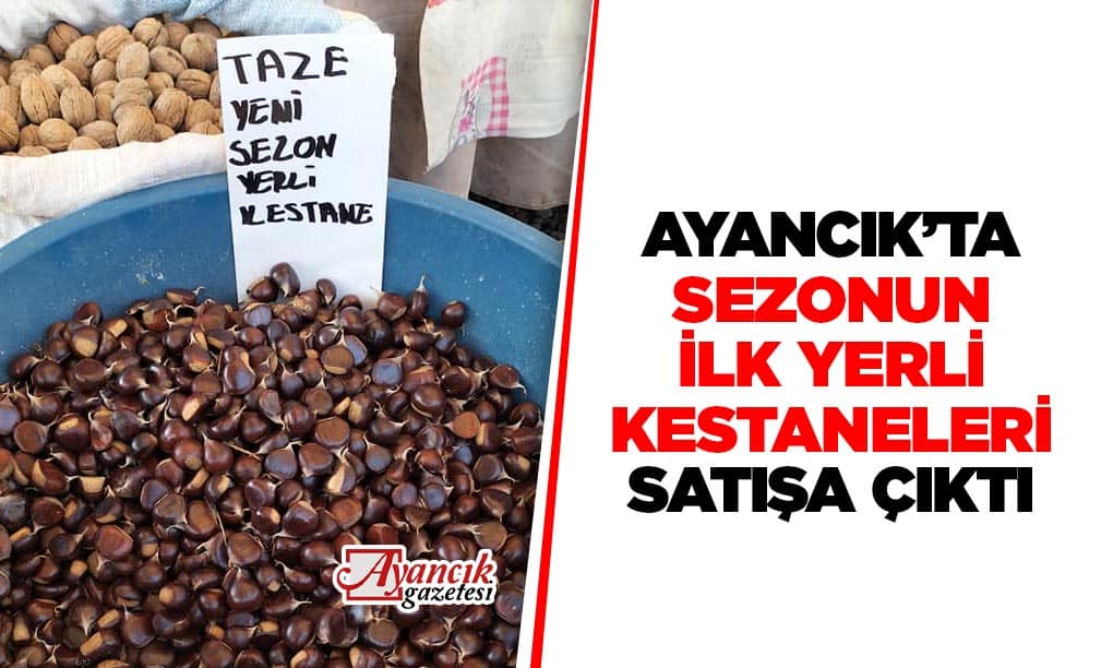 Sezonun İlk Yerli Kestaneleri Satışa Çıktı