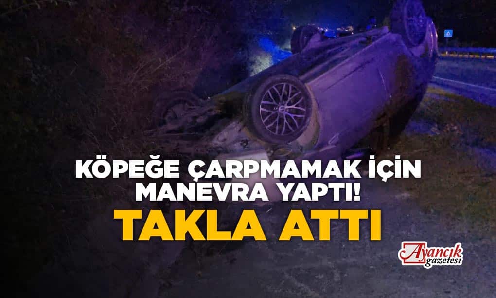 Köpeğe Çarpmamak İçin Manevra Yapan Otomobil Takla Attı