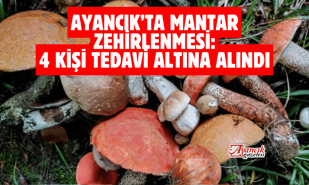 Ayancık’ta Mantar Zehirlenmesi