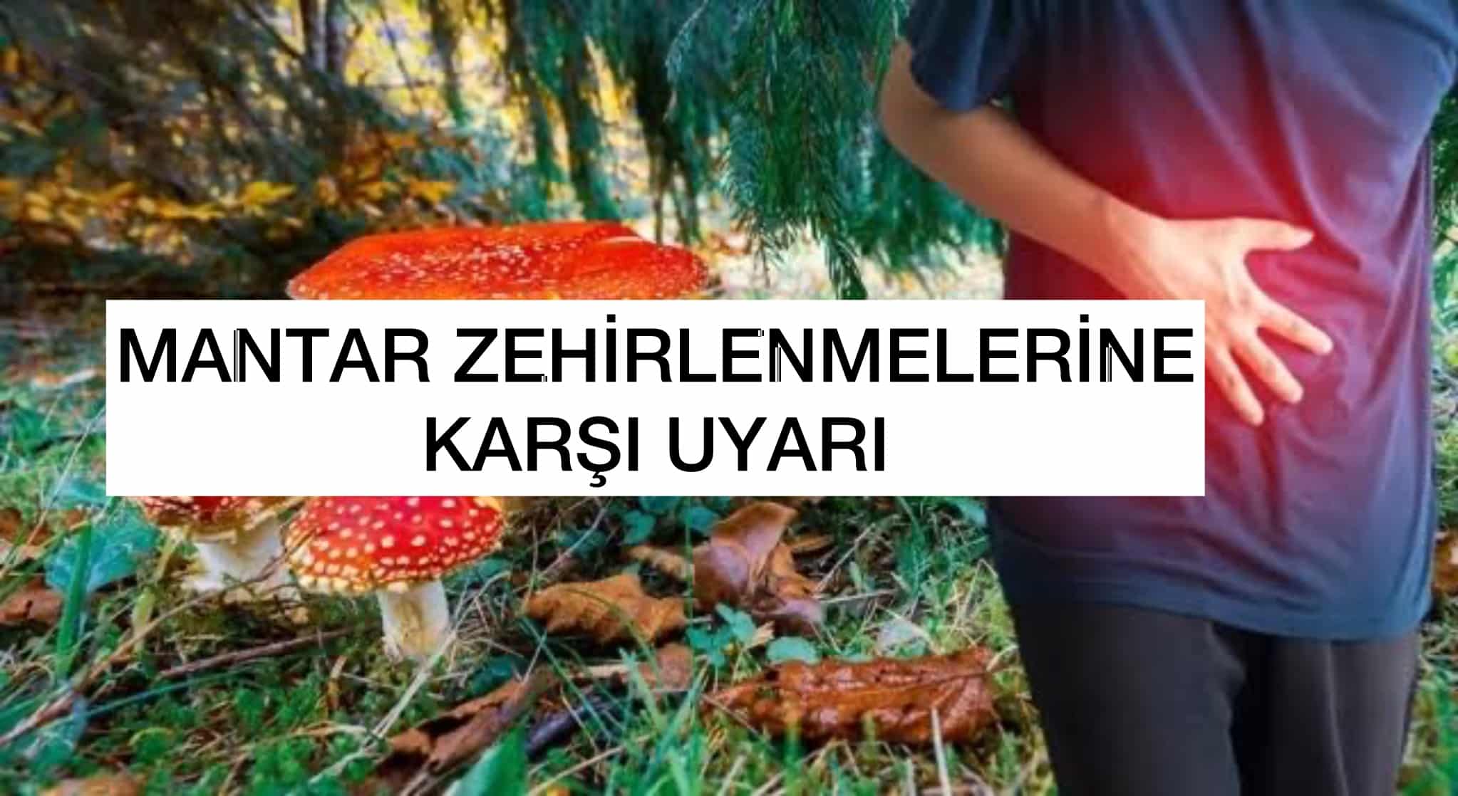 Mantar Zehirlenmelerine Karşı Uyarı