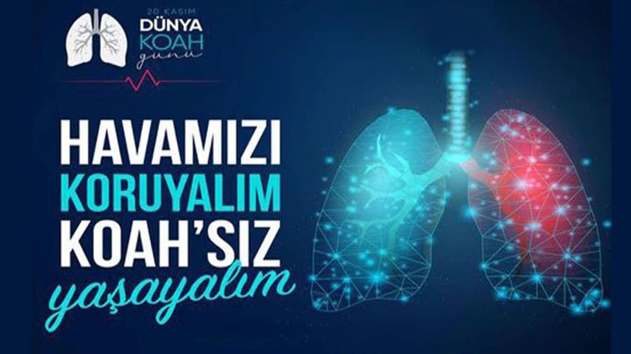 20 Kasım 2024 Dünya Koah Günü Toplum Sağlığı Bildirisi