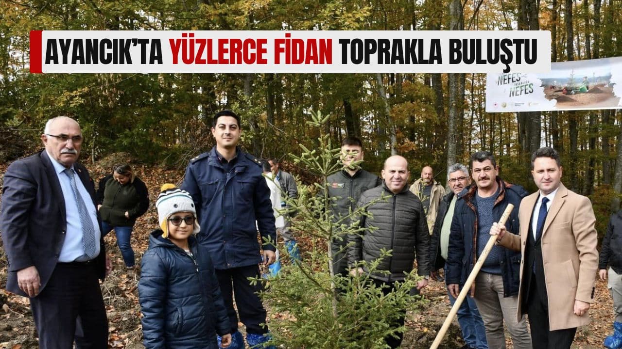 Ayancık’ta Yüzlerce Fidan Toprakla Buluştu