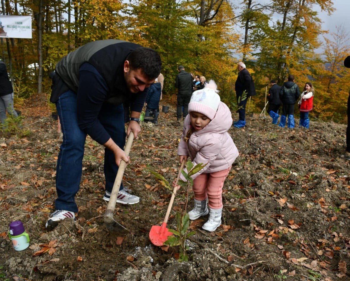 Ayancık'ta Yüzlerce Fidan Toprakla Buluştu