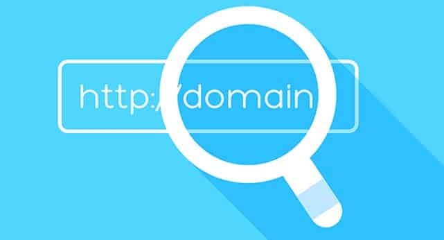 Domain ve Hosting Kurulumu Eğitimi