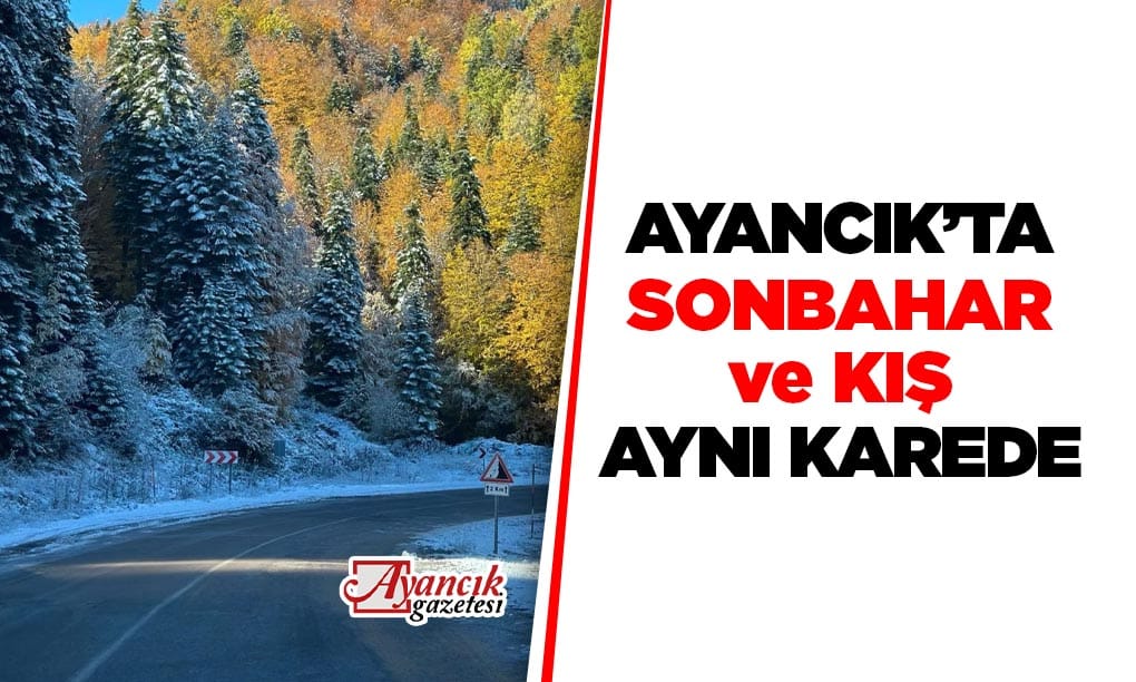 Ayancık’ta sonbahar ve kış tek karede