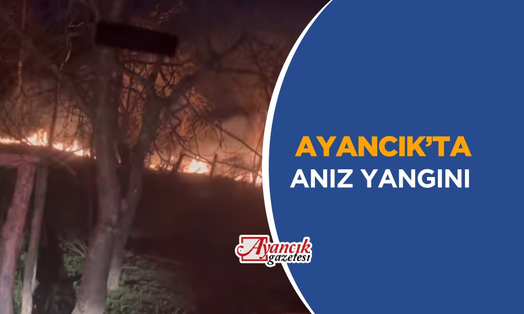 Ayancık’ta Anız Yangını Hızla Kontrol Altına Alındı