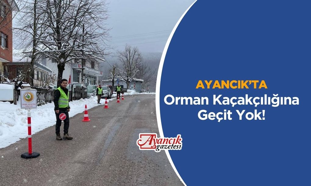 Ayancık’ta Orman Kaçakçılığına Geçit Yok