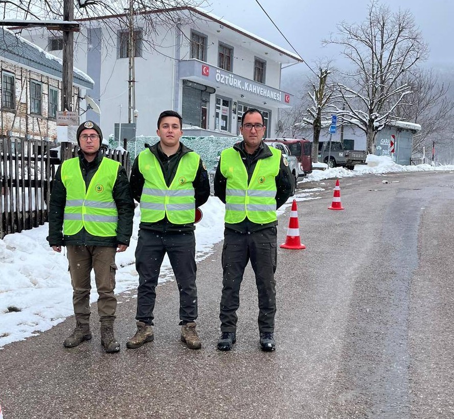 Ayancık'ta Orman Kaçakçılığına Geçit Yok