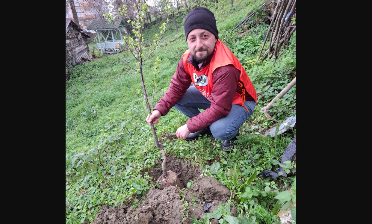 TEMA Vakfı Ayancık Temsilciliği, Orman Haftasında Fidan Dikimi Gerçekleştirdi