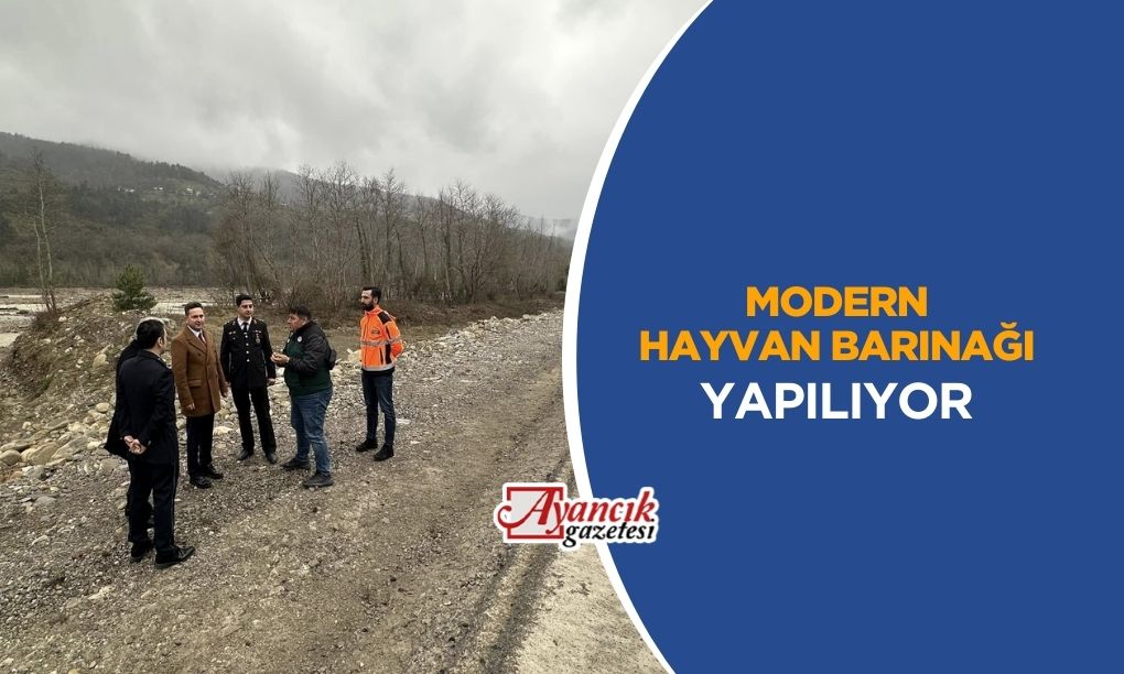 Ayancık’a Modern Hayvan Barınağı Müjdesi